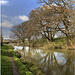 The Oxford Canal at Upper Heyford