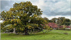Buss's Green, Sussex