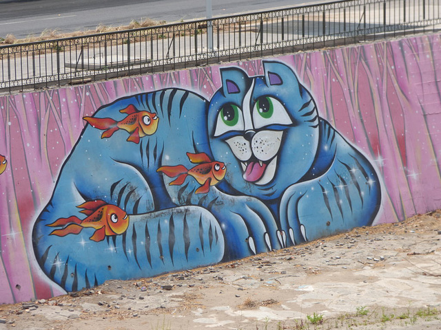 Gato del río/ Un chat de la rivage