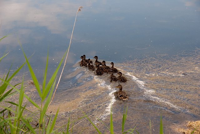 Familienausflug