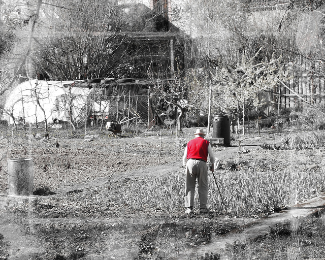 le jardinier au gilet rouge