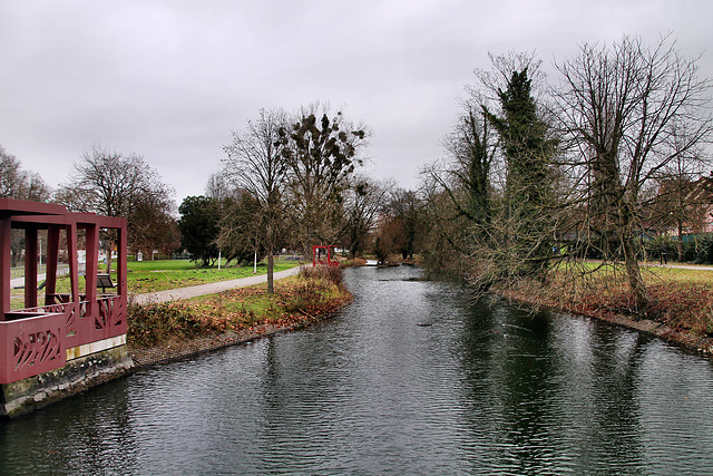 Alte Lippe im Nordringpark (Hamm) / 16.12.2023