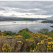 The Skye Bridge from Plock of Kyle