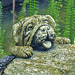 20230801 3377CPw [D~LIP] Hund, Skulptur, BS