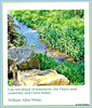 Rocks above farm stream