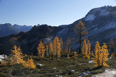 Maple Pass