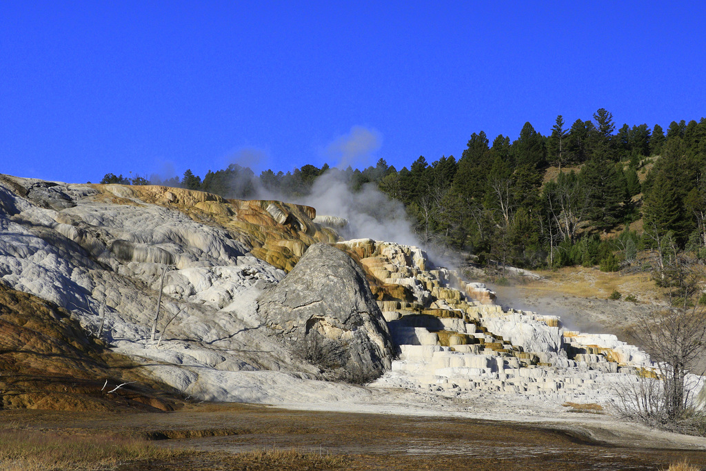 Mammoth Hot Springs