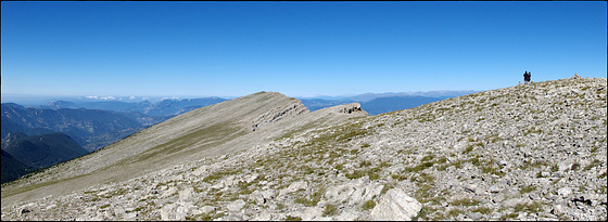 Contemplant la immensitat