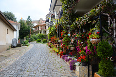 North Macedonia, Kuzman Kapidan Street in Ohrid