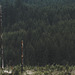 20250524-20250525_Benneckenstein+Wanderung Tanne bis Elbingerode