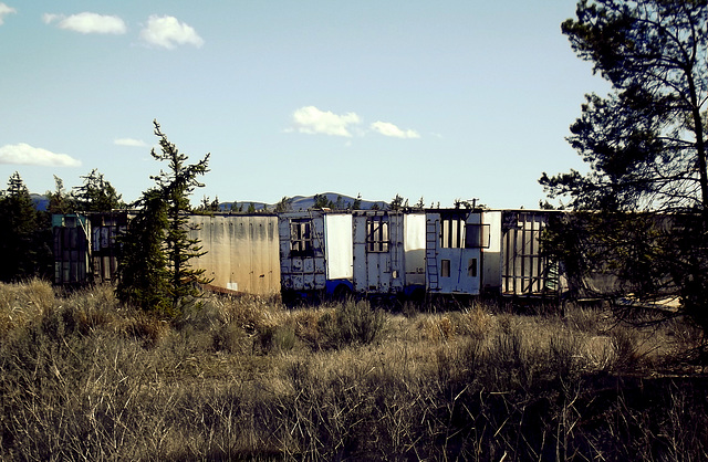 Trailer graveyard