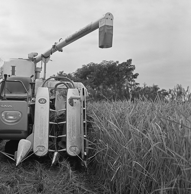 Rice harvester