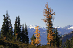 Heather Pass