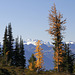 Heather Pass