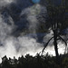 Mammoth Hot Springs