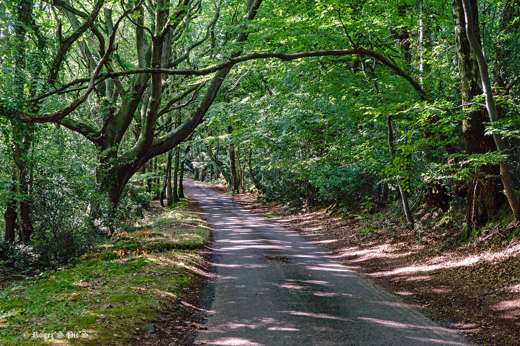 Country Road