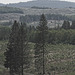 20250524-20250525_Benneckenstein+Wanderung Tanne bis Elbingerode