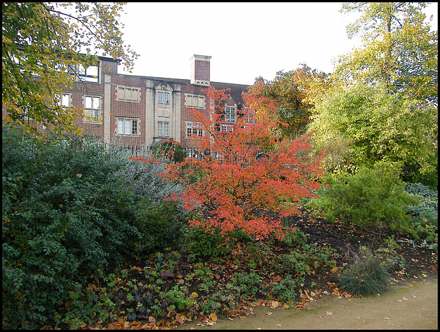 Jenkin Building from West Walk