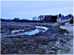 Le marais gelé et le manoir du Bouvet (22) Je remets cette photo pour donner plus d'information concernant l'un de la famille Bouvet