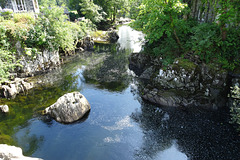 View From Pont Y Pair Bridge