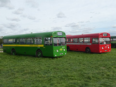 Preserved former London Transport AEC Swifts at Showbus 50 - 25 Sep 2022 (P1130496)