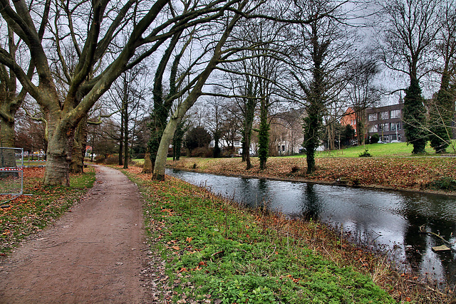 Alter Lippeverlauf im Nordringpark (Hamm) / 16.12.2023