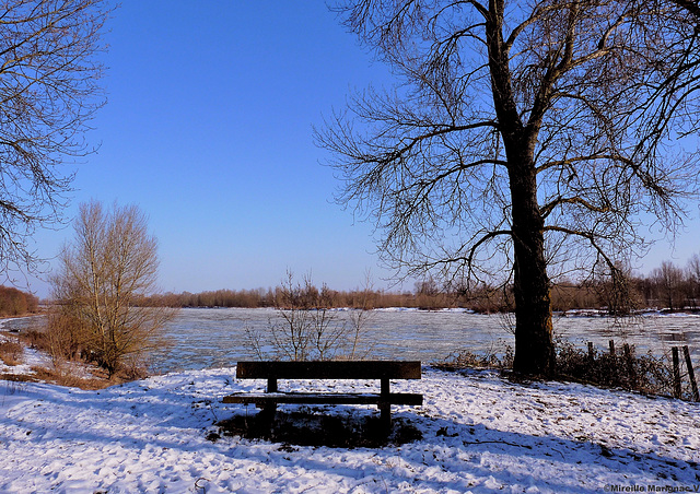 La grâce de l'hiver