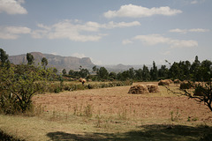 Erar to Shimbrety trek - gathering hay