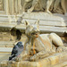 Italy, Siena, Fonte Gaia (detail on the right side)