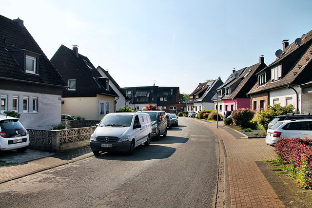 Birkhahnstraße (Oberhausen-Königshardt) / 11.05.2024