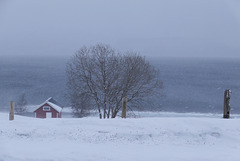 Lapland, Snow-storm 2