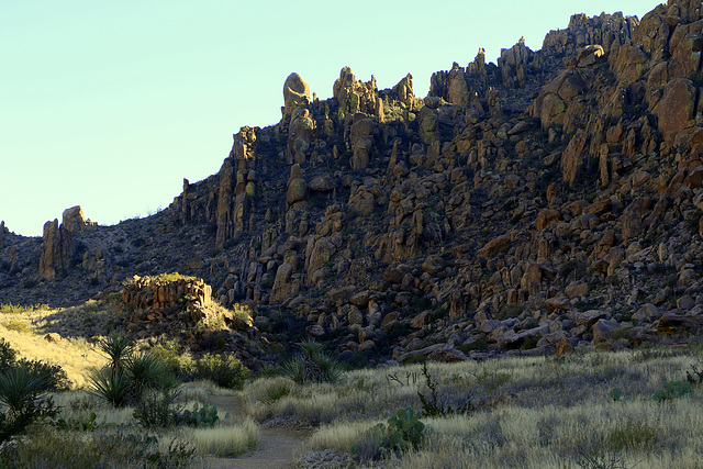 Grapevine Hills