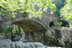 Pont Y Pair Bridge