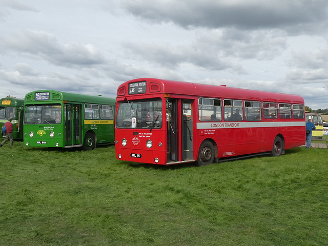 Preserved former London Transport AEC Swifts at Showbus 50 - 25 Sep 2022 (P1130499)