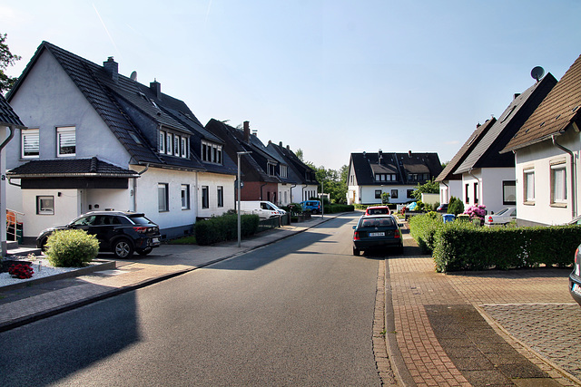 Birkhahnstraße (Oberhausen-Königshardt) / 11.05.2024