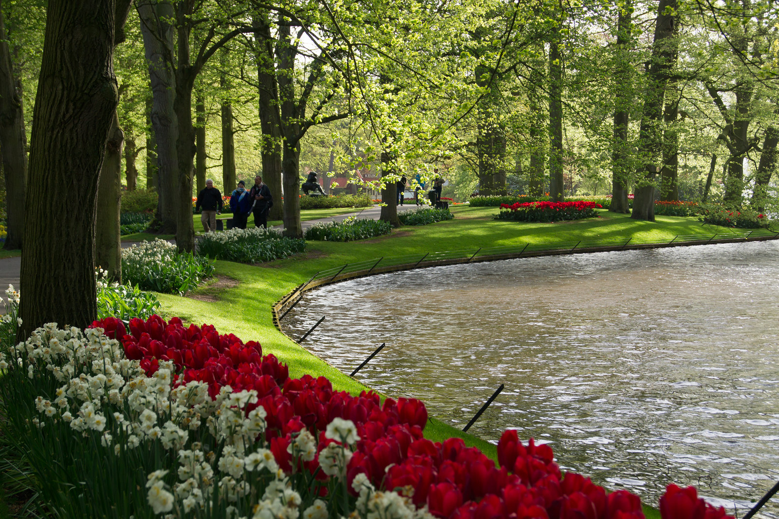 Niederlande - Keukenhof DSC01779