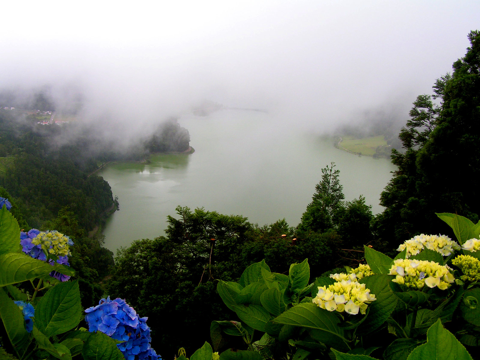 Lagoa do Fogo (Lake/Lagoon of Fire)… the dense fog was beginning to clear up