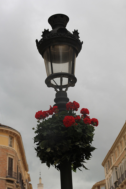 Calle del Marqués de Larios