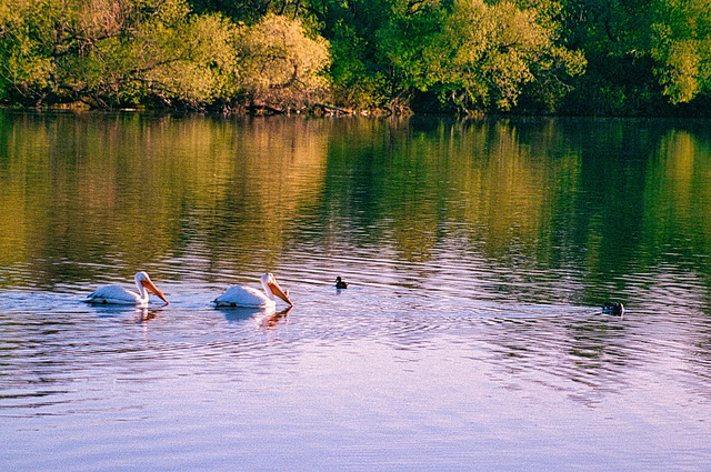 cruising together