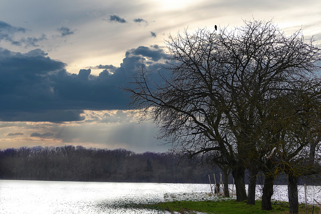 Ein trister Wintertag - A dreary winter day