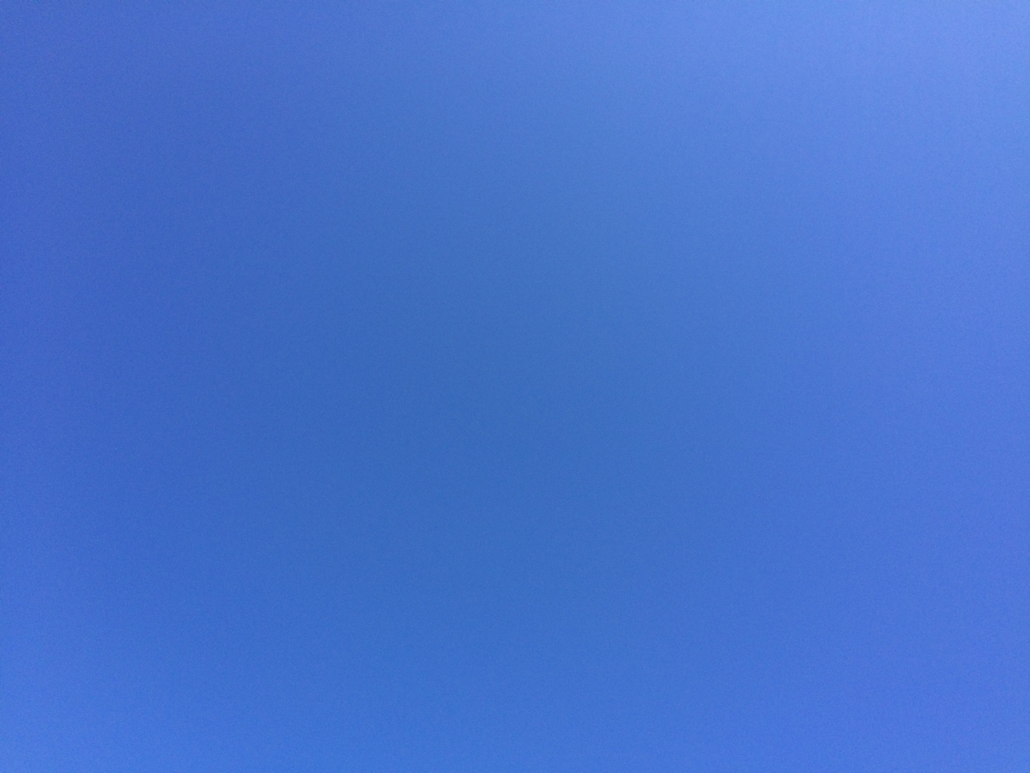 Kiel, Germany, 10.06.2015 10:41