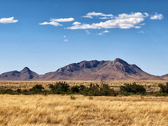 Bowie Mountain