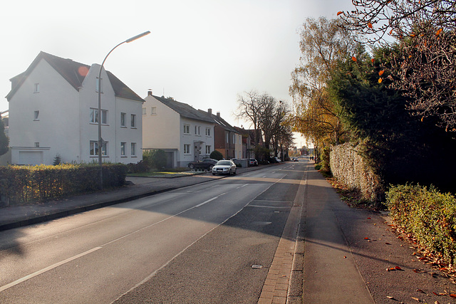 Altwickeder Hellweg (Dortmund-Wickede) / 12.11.2016