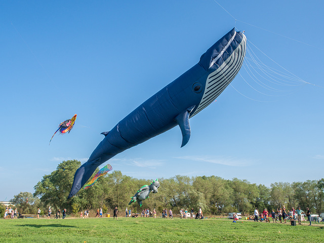 Drachenfest in Lemwerder