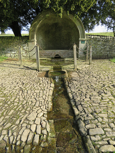 tissington well