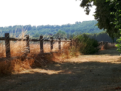 HFF - HAPPY FENCE FRIDAY