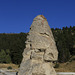 Liberty Cap