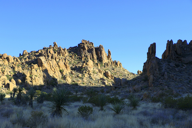 Grapevine Hills