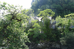 View From Pont Y Pair Bridge