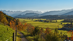 Herbstfarben im Allgäu